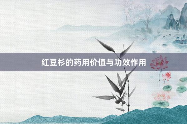 红豆杉的药用价值与功效作用