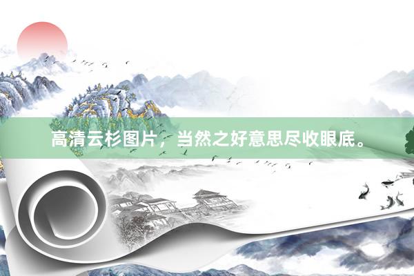 高清云杉图片，当然之好意思尽收眼底。