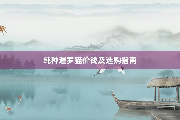纯种暹罗猫价钱及选购指南