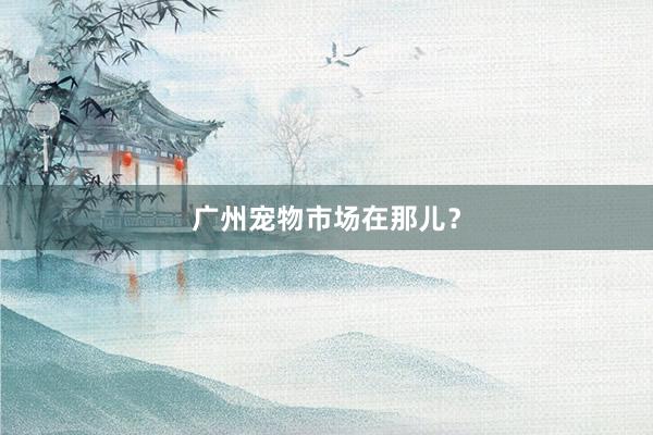 广州宠物市场在那儿？