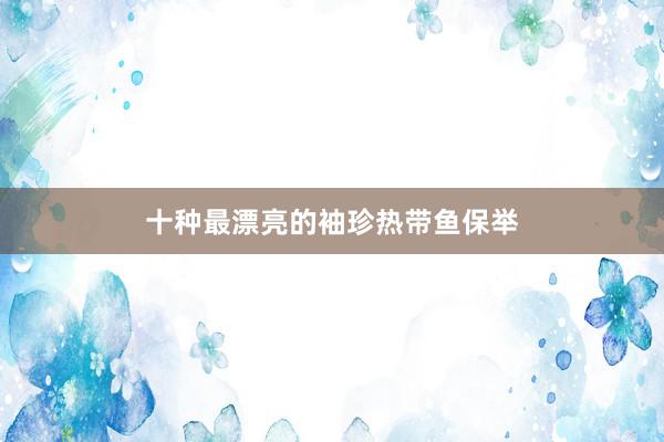十种最漂亮的袖珍热带鱼保举