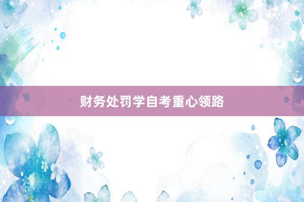 财务处罚学自考重心领路